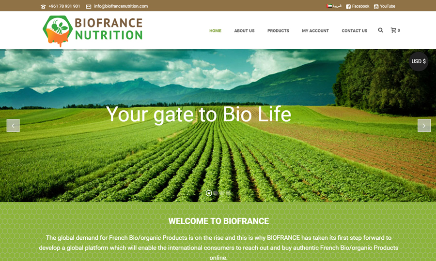 E-Commerce - Web Design & Web Development - Iraq