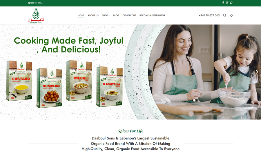 E-Commerce - Web Design & Web Development - Iraq