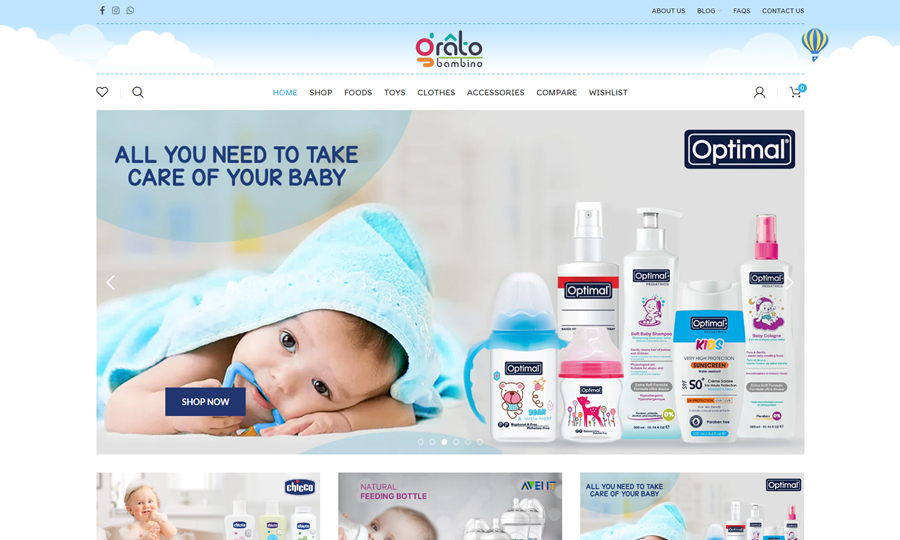 E-Commerce - Web Design & Web Development - Iraq