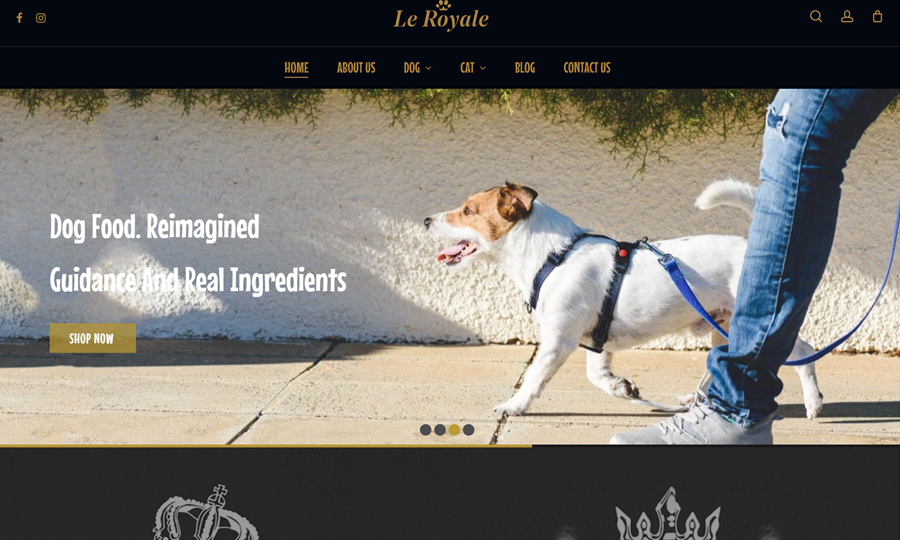 E-Commerce - Web Design & Web Development - Iraq
