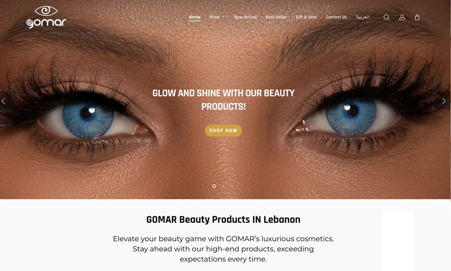 E-Commerce - Web Design & Web Development - Iraq